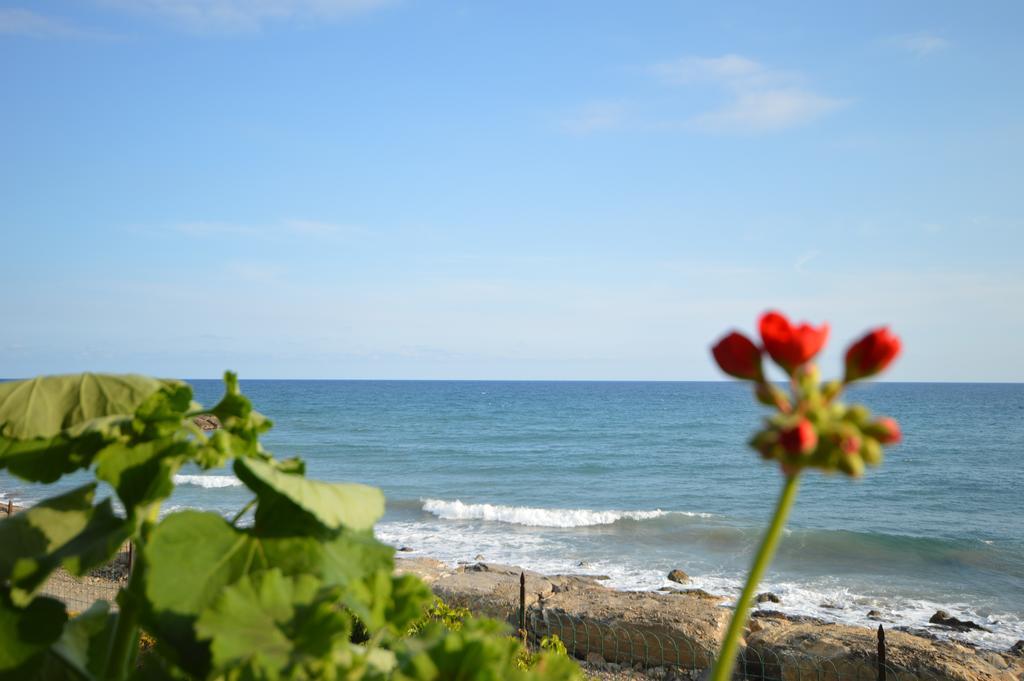 Apartment Riva Mare *